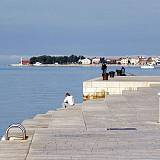 Апартаменты и комнаты Zadar 19833, Zadar - Ближайший пляж