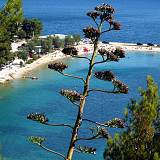 Apartments Split 5493, Split - Nearest beach