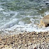 Appartamenti Petrčane 19521, Petrčane - Punta Skala - La spiaggia più vicina