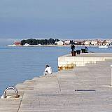 Apartments and rooms Zadar 20662, Zadar - Nearest beach