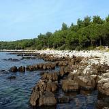 Appartamenti e camere Rovinj 17880, Rovinj - La spiaggia più vicina