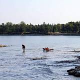 Appartamenti Savudrija 3639, Savudrija - La spiaggia più vicina