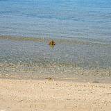 Ferienwohnungen Brodarica 4259, Brodarica - Nächster Strand