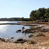 Apartamenty Ližnjan 20536, Ližnjan - Najbliższa plaża