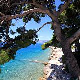 Holiday house Makarska 21566, Makarska - Nearest beach